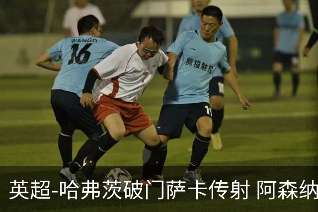 英超-哈弗茨破门萨卡传射 阿森纳2-0狼队
